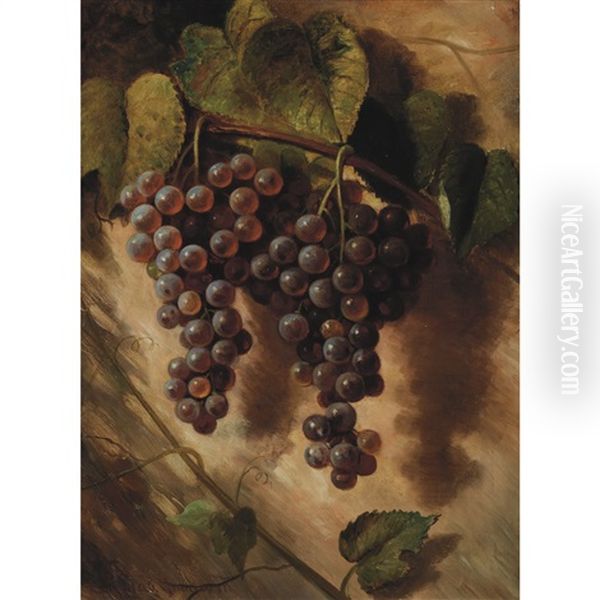 Still Life Of Grapes On The Vine Oil Painting by Richard La Barre Goodwin