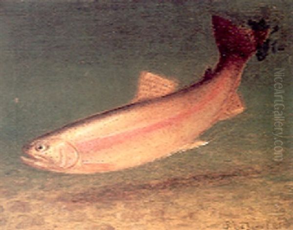 Rainbow Trout Oil Painting by Richard La Barre Goodwin