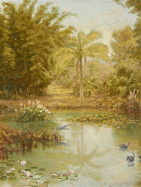 Black Swans In A Tropical Lake, Australia Oil Painting by Charles Gordon-Frazer