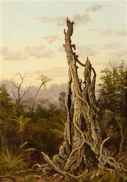 Rata Tree, New Zealand Oil Painting by Charles Gordon-Frazer