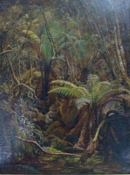 The Gully, Tasmania Oil Painting by Charles Gordon-Frazer