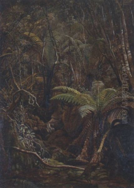 The Gully, Tasmania Oil Painting by Charles Gordon-Frazer