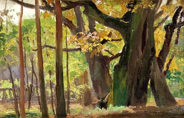 Sunny Forest Oil Painting by Michael Gorstkin-Wywiorski