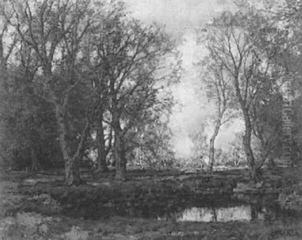 Landscape With Trees And A Pond Oil Painting by Arnold Marc Gorter