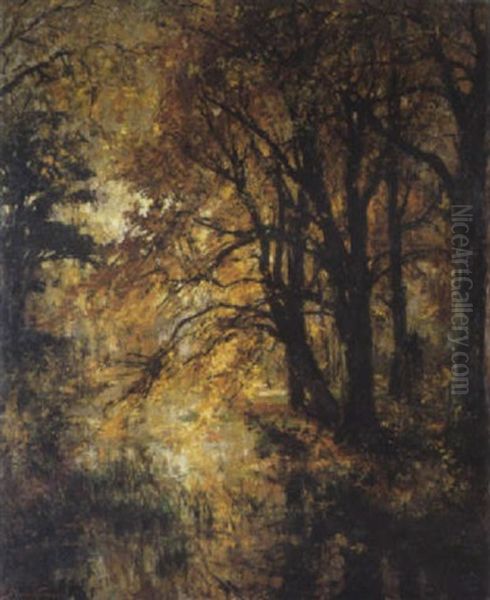 Herfstgezicht In Een Park Oil Painting by Pieter Gorus