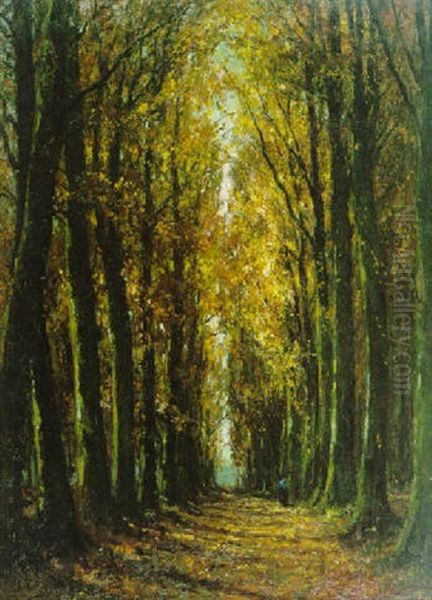 Beukendreef Met Wandelaar In De Herfst Oil Painting by Pieter Gorus