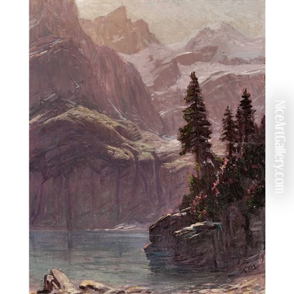 Der Oeschinensee Oil Painting by Albert Henri John Gos