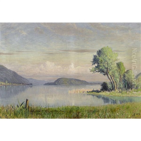 Bielersee Mit St. Petersinsel Oil Painting by Albert Henri John Gos