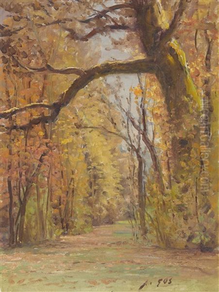 Herbstlicher Waldweg Oil Painting by Albert Henri John Gos