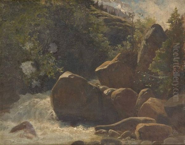 Cascade Dans Le Valais Oil Painting by Albert Henri John Gos