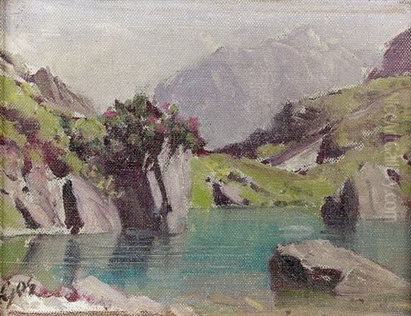 Sonnige Gebirgspartie Mit Kleinem See Oil Painting by Albert Henri John Gos