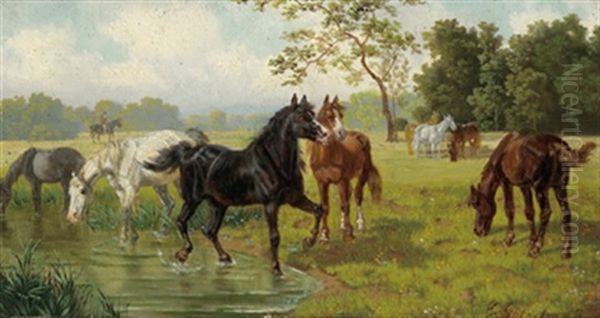 Pferde An Einem Weiher Oil Painting by Eduard Goetzelmann