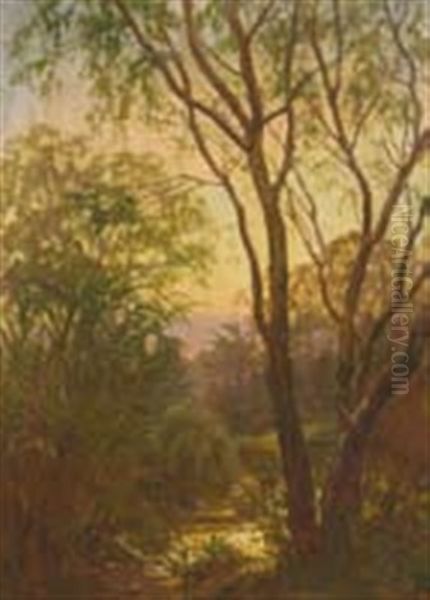 Fern Shrouded Path Through Bush Oil Painting by Edmund Gouldsmith