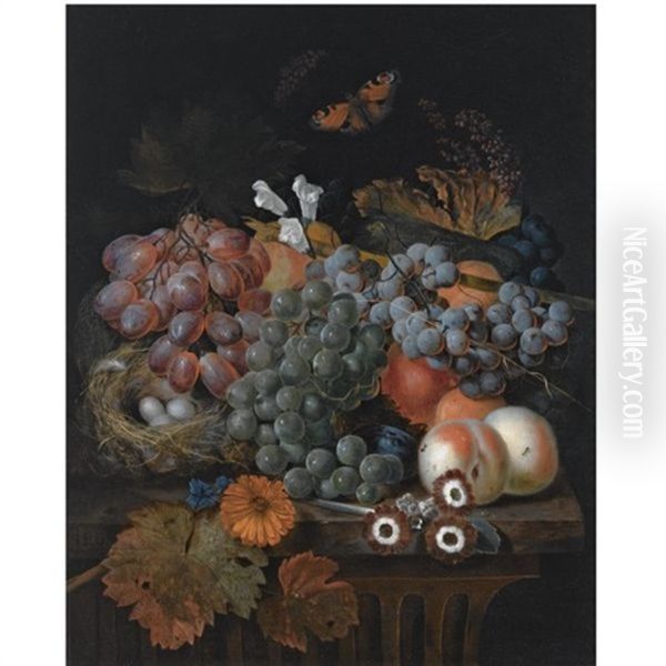 A Still Life With Blue And White Grapes On A Vine, Peaches, A Daisy, Auriculas And A Bird's Nest, All On A Wooden Ledge, Together With A Butterfly Oil Painting by Jan Baptiste Govaerts