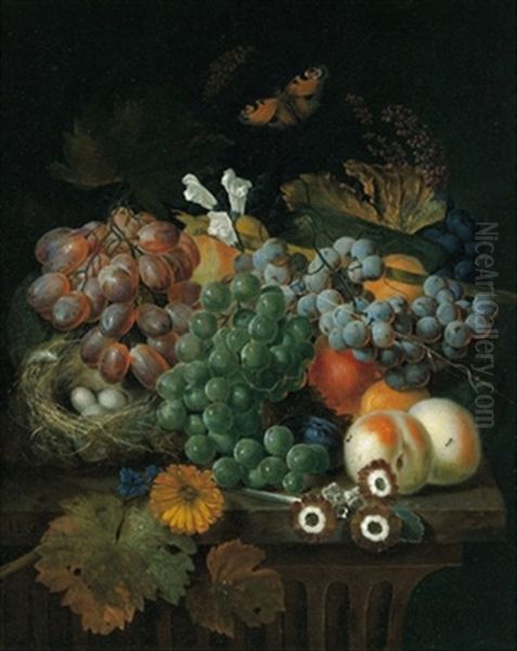 Stillleben Mit Weintrauben, Pfirsichen Und Blumen Sowie Einem Vogelnest Oil Painting by Jan Baptiste Govaerts