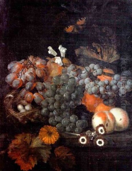 Grapes, Peaches, A Bird's Nest, Convolvulus, And A Red Admiral Butterfly On A Stone Ledge Oil Painting by Jan Baptiste Govaerts