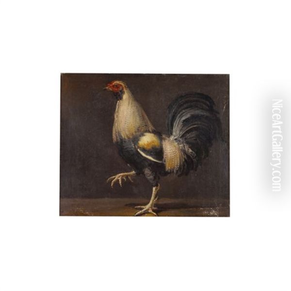 Un Coq Oil Painting by Francisco Goya