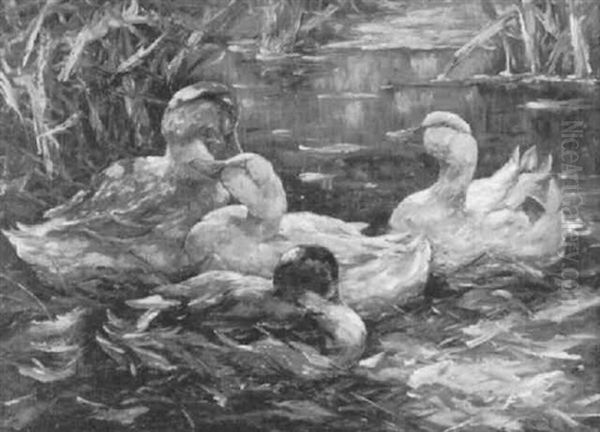 Teich Mit Enten Oil Painting by Otto Graeber