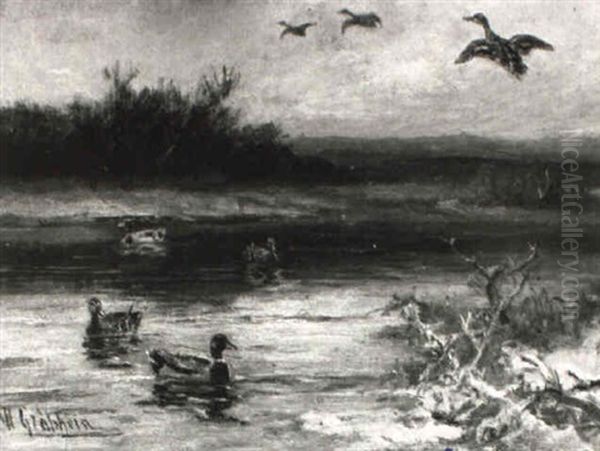 Fluslandschaft Mit Schwimmenden Und Fliegenden Enten Oil Painting by Wilhelm Graebhein