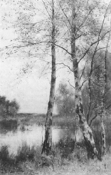 Silver Birches Beside A Tranquil Lake Oil Painting by James Edward Grace