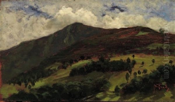 Paesaggio by Napoleone (Luigi) Grady