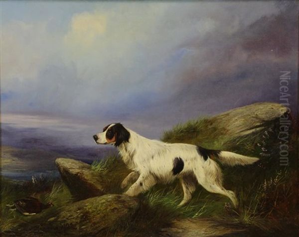 Hunting Dog With Game Oil Painting by Colin Graeme