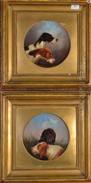 Hunting Dogs Oil Painting by Colin Graeme