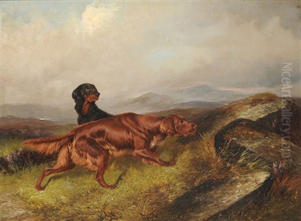 Two Setters In A Moorland Landscape Oil Painting by Colin Graeme