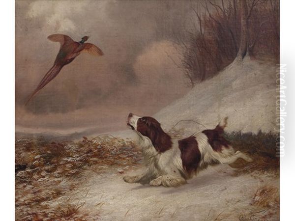 Spaniel And Pheasant (+ Another Of A Spaniel And Rabbit; Pair) Oil Painting by Colin Graeme