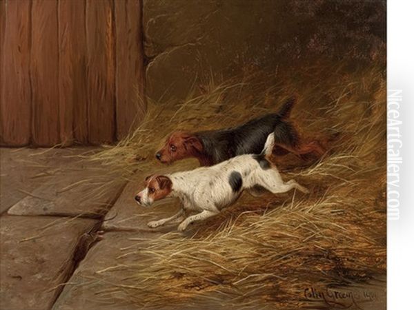 Terriers In A Barn (+ Terriers At A Hole; Pair) Oil Painting by Colin Graeme