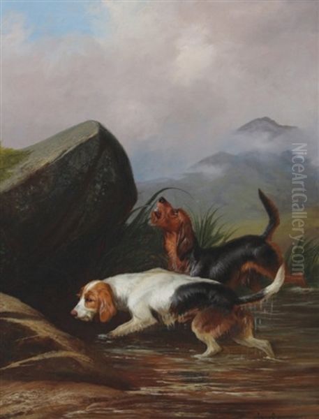 Dog Baying Oil Painting by Colin Graeme