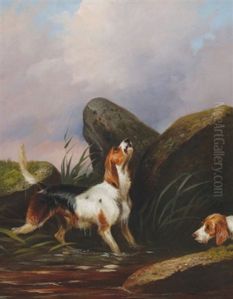 Two Dogs On The Scent Oil Painting by Colin Graeme