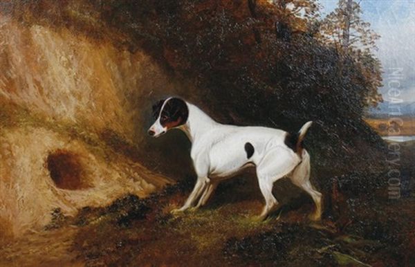 Terrier By A Fox Hole Oil Painting by Colin Graeme