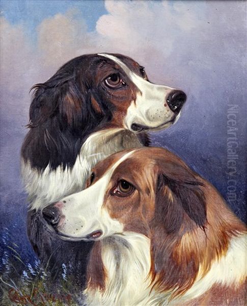 Heads Of Two Rough Collies Oil Painting by Colin Graeme