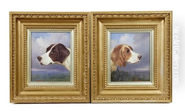 Head Of A Pointer And Head Of A Setter (pair) Oil Painting by Colin Graeme