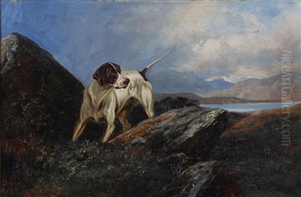 English Pointer In A Lake Landscape And Setter (pair) Oil Painting by Colin Graeme