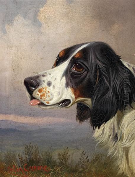 A Head Of A Setter In A Landscape Oil Painting by Colin Graeme