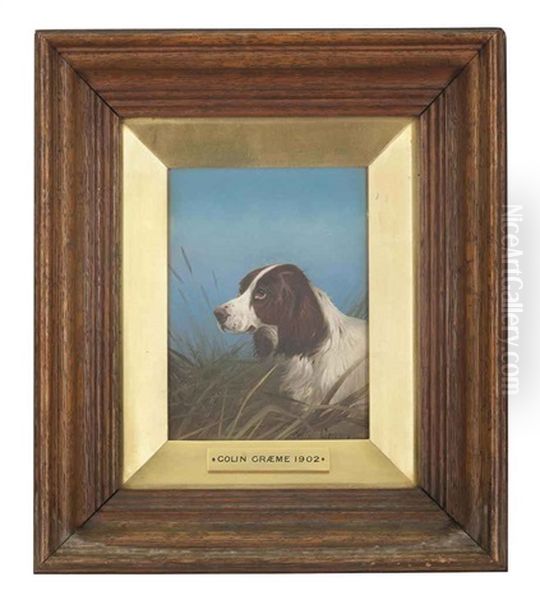 A Spaniel In A Landscape (+ A Spaniel On The Scent; Pair) Oil Painting by Colin Graeme