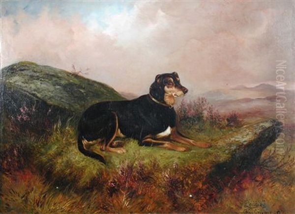 Laddie (study) Oil Painting by Colin Graeme