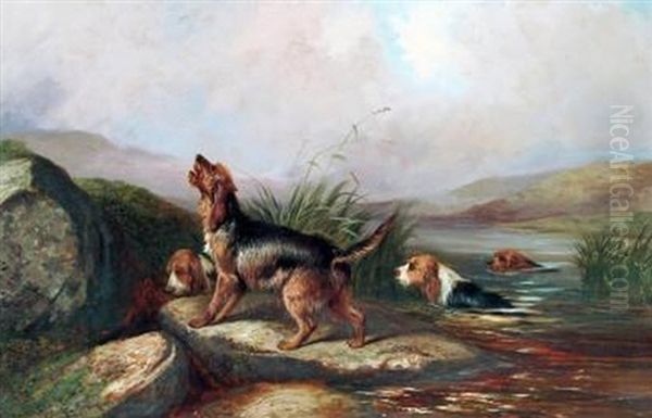 Otter Hounds At A Lake Edge Oil Painting by Colin Graeme