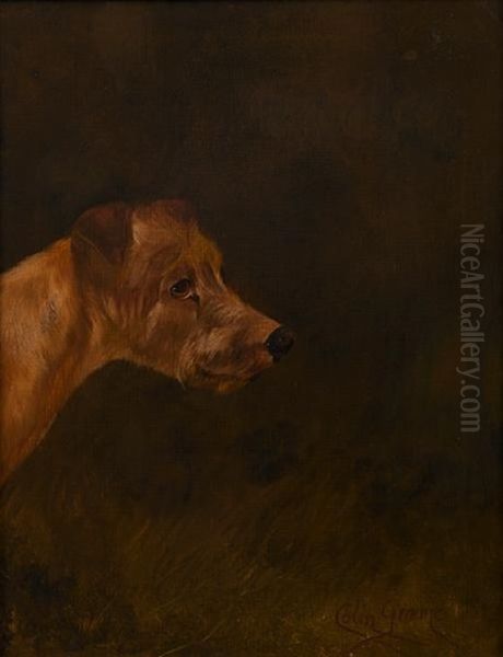 Irish Terrier Oil Painting by Colin Graeme