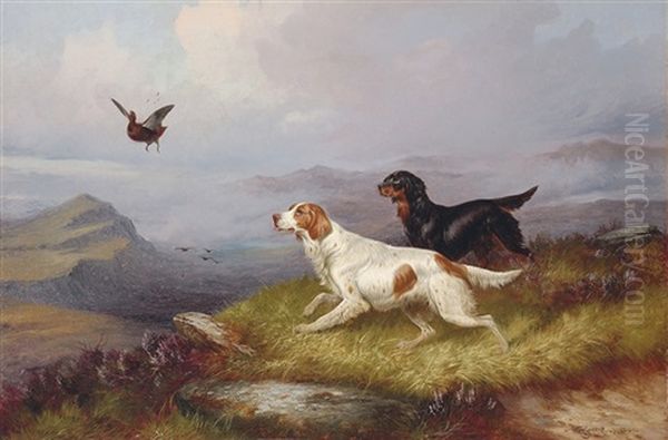 Setters Putting Up A Grouse Oil Painting by Colin Graeme