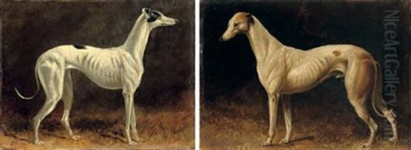 A Black And White Whippet (+ A Brown And White Whippet; Pair) Oil Painting by Colin Graeme