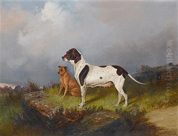 A Pointer And A Terrier Waiting On A Moor Oil Painting by Colin Graeme