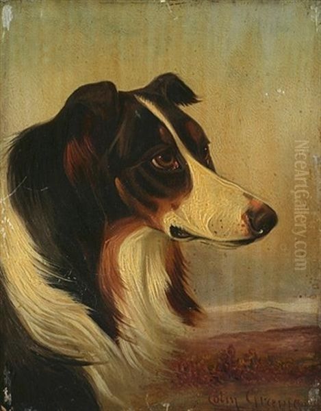 Border Collie Oil Painting by Colin Graeme