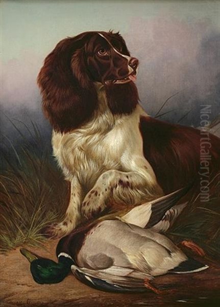 Springer Spaniel Oil Painting by Colin Graeme