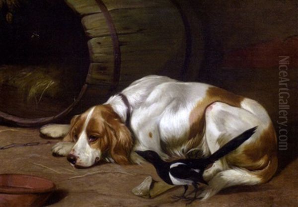 A Spaniel And A Magpie In A Barn Oil Painting by Colin Graeme