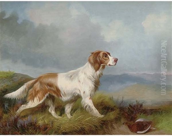 A Setter Retrieving A Grouse, In An Extensive Landscape Oil Painting by Colin Graeme