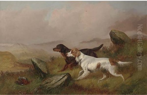 Setters On A Grouse Moor Oil Painting by Colin Graeme