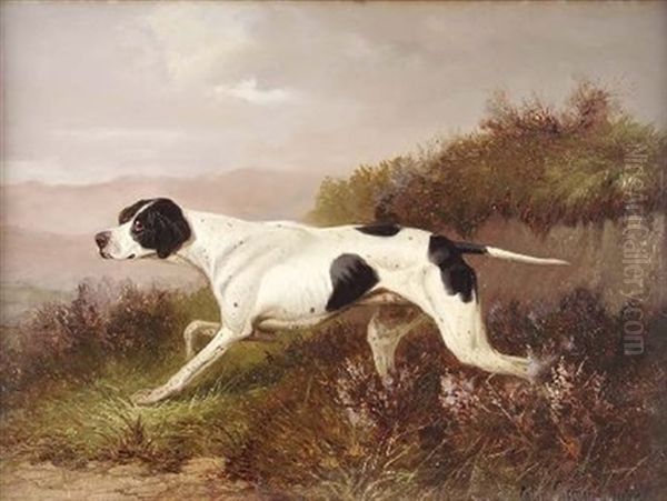 Study Of A Pointer In Heather (+ A Setter; Pair) Oil Painting by Colin Graeme